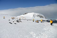 13A Tourists And Penguins On Aitcho Barrientos Island In South Shetland Islands On Quark Expeditions Antarctica Cruise